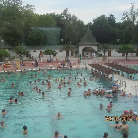 Gyoengyvirag Ueduelo - Mario Harkány