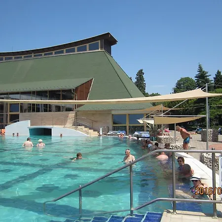 Daire Gyoengyvirag Ueduelo - Mario *