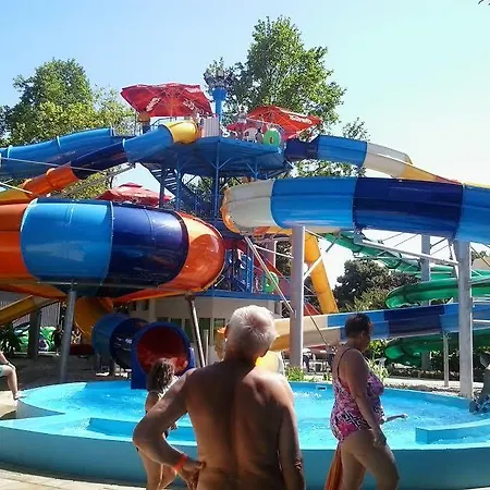 Daire Gyoengyvirag Ueduelo - Mario Harkány