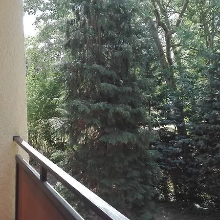 Daire Gyoengyvirag Ueduelo - Mario Harkány