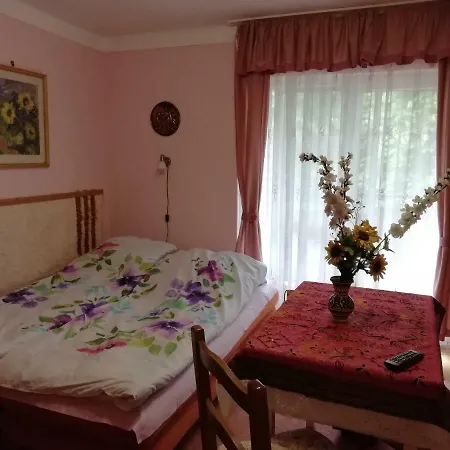 Daire Gyoengyvirag Ueduelo - Mario *